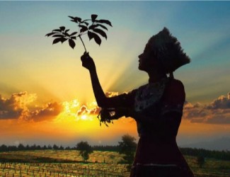 吃三七要在什么年齡，又有什么好處？?