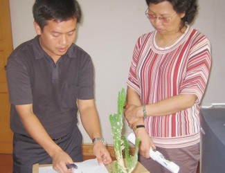 云南省藥監(jiān)局孫燕副局長會同文山州人民政府副州長張秀蘭到苗鄉(xiāng)三七參觀調研